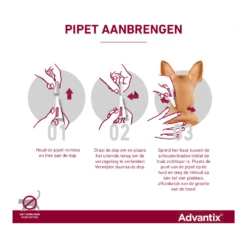 Advantix Spot On 600 - 40-60kg - 6ml - Anti Vlooien En Tekenmiddel - 4 Pipetten 10 Advantix Spot On 600 - 40-60kg - 6ml - Anti Vlooien En Tekenmiddel - 4 Pipetten -Huisdier Uitgebreid Winkel advantix spot on 3 1 4