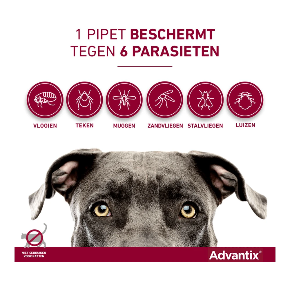 Advantix Spot On 100 - 4-10kg - 1ml - Anti Vlooien En Tekenmiddel - 4 Pipetten 6 Advantix Spot On 100 - 4-10kg - 1ml - Anti Vlooien En Tekenmiddel - 4 Pipetten - Afbeelding 4