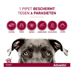 Advantix Spot On 600 - 40-60kg - 6ml - Anti Vlooien En Tekenmiddel - 4 Pipetten 11 Advantix Spot On 600 - 40-60kg - 6ml - Anti Vlooien En Tekenmiddel - 4 Pipetten -Huisdier Uitgebreid Winkel advantix spot on 4 1 4