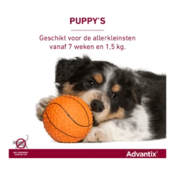 Advantix Spot On 40 - Tot 4kg - 0.4ml - Anti Vlooien En Tekenmiddel - 4 Pipetten -Huisdier Uitgebreid Winkel advantix spot on 5 1 2