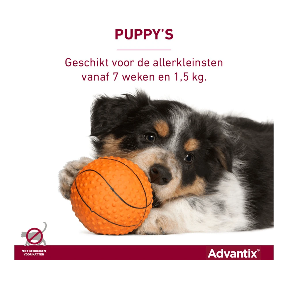 Advantix Spot On 400 - 25-40kg - 4ml - Anti Vlooien En Tekenmiddel - 4 Pipetten 7 Advantix Spot On 400 - 25-40kg - 4ml - Anti Vlooien En Tekenmiddel - 4 Pipetten - Afbeelding 5