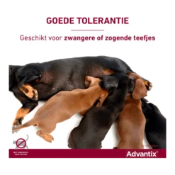 Advantix Spot On 40 - Tot 4kg - 0.4ml - Anti Vlooien En Tekenmiddel - 4 Pipetten -Huisdier Uitgebreid Winkel advantix spot on 6 1 2