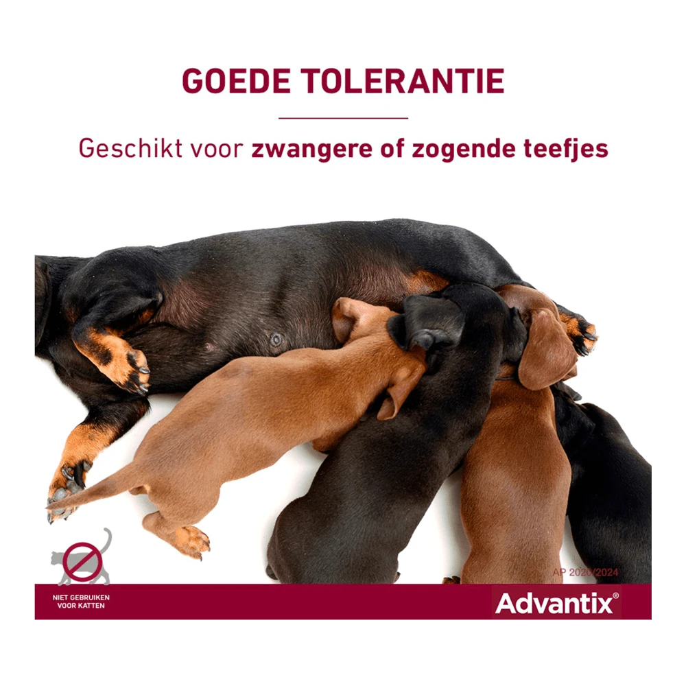 Advantix Spot On 600 - 40-60kg - 6ml - Anti Vlooien En Tekenmiddel - 4 Pipetten 8 Advantix Spot On 600 - 40-60kg - 6ml - Anti Vlooien En Tekenmiddel - 4 Pipetten - Afbeelding 6