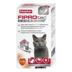 Beaphar Fiprotec Combo Kat - Vanaf 1kg - 3 Pipet - Anti Vlooienmiddel En Tekenmiddel