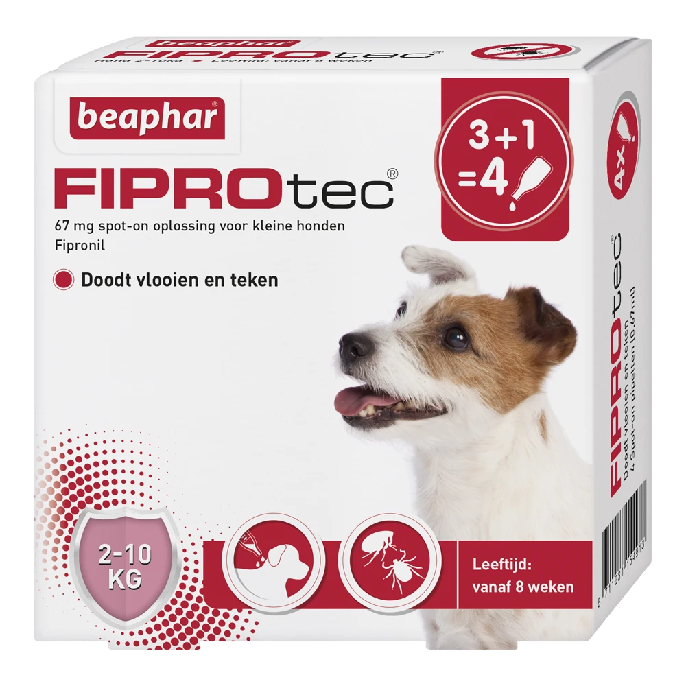 Beaphar FiproTec Spot-on Hond - 2 Tot 10kg - 4 Stuks - Anti Vlooien En Tekenmiddel 3 Beaphar FiproTec Spot-on Hond - 2 Tot 10kg - 4 Stuks - Anti Vlooien En Tekenmiddel