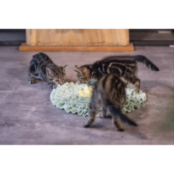 Beeztees Snuffelmat Flowie - Mint - 38x38x3cm - Kattenspeelgoed 7 Beeztees Snuffelmat Flowie - Mint - 38x38x3cm - Kattenspeelgoed -Huisdier Uitgebreid Winkel beeztees snuffelmat flowie mint 38x38x3cm kattenspeelgoed 3 1