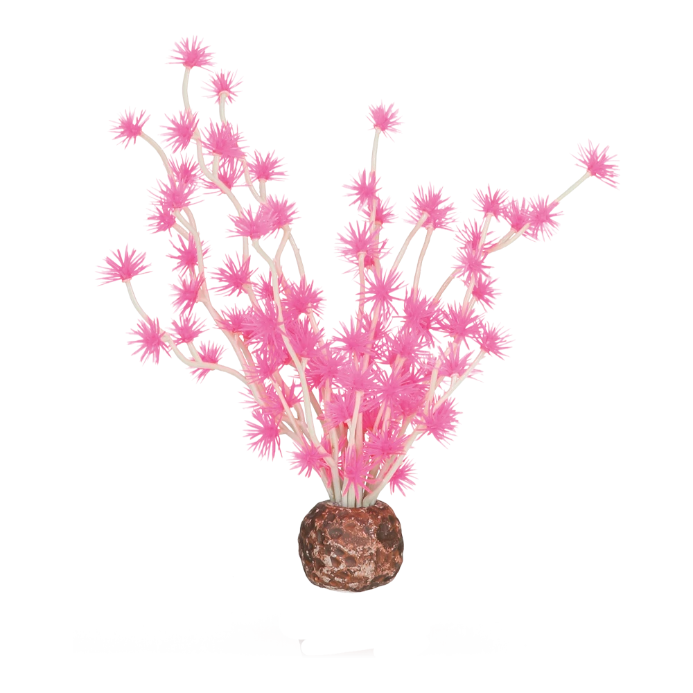 BiOrb Bonsai Bal - Roze 3 BiOrb Bonsai Bal - Roze