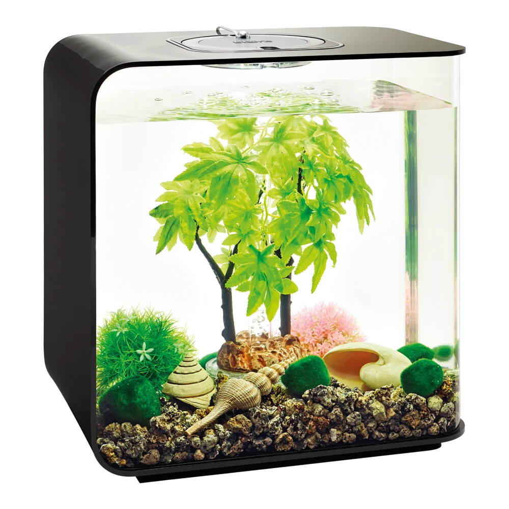 BiOrb Decor Set - 30L - Zomer 4 BiOrb Decor Set - 30L - Zomer - Afbeelding 2