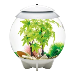 BiOrb Decor Set - 30L - Zomer 7 BiOrb Decor Set - 30L - Zomer -Huisdier Uitgebreid Winkel biorb decor set 30l zomer 3 1