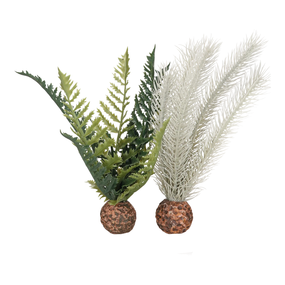 BiOrb Distelvaren S - Grijs/Groen 3 BiOrb Distelvaren S - Grijs/Groen