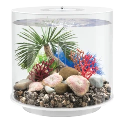 BiOrb Palmboom Seychelles - S -Huisdier Uitgebreid Winkel biorb palmboom seychelles s 2 1