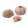 BiOrb Zee-egel Set - Naturel -Huisdier Uitgebreid Winkel biorb zee egel set naturel 1 1