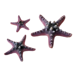 BiOrb Zeester Set 3 - Roze