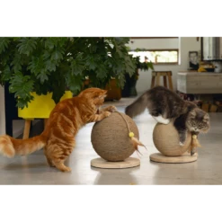 Designed By Lotte DBL Houte Krabbol Balty - Bruin/naturel - 30x30x27cm -Huisdier Uitgebreid Winkel dbl houte krabbol balty bruin naturel 30x30x27cm designed by lotte 4