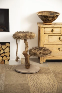 Designed By Lotte DBL Houte Krabmeubel Aviva - Bruin - 50x50x68cm -Huisdier Uitgebreid Winkel dbl houte krabmeubel aviva bruin 50x50x68cm designed by lotte 3