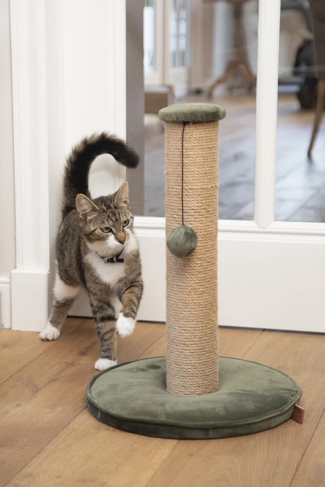 Designed By Lotte DBL Krabpaal Yenna - Groen - 35x35x60cm 4 Designed By Lotte DBL Krabpaal Yenna - Groen - 35x35x60cm - Afbeelding 2