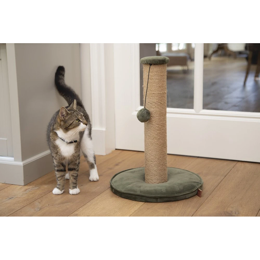 Designed By Lotte DBL Krabpaal Yenna - Groen - 35x35x60cm 5 Designed By Lotte DBL Krabpaal Yenna - Groen - 35x35x60cm - Afbeelding 3