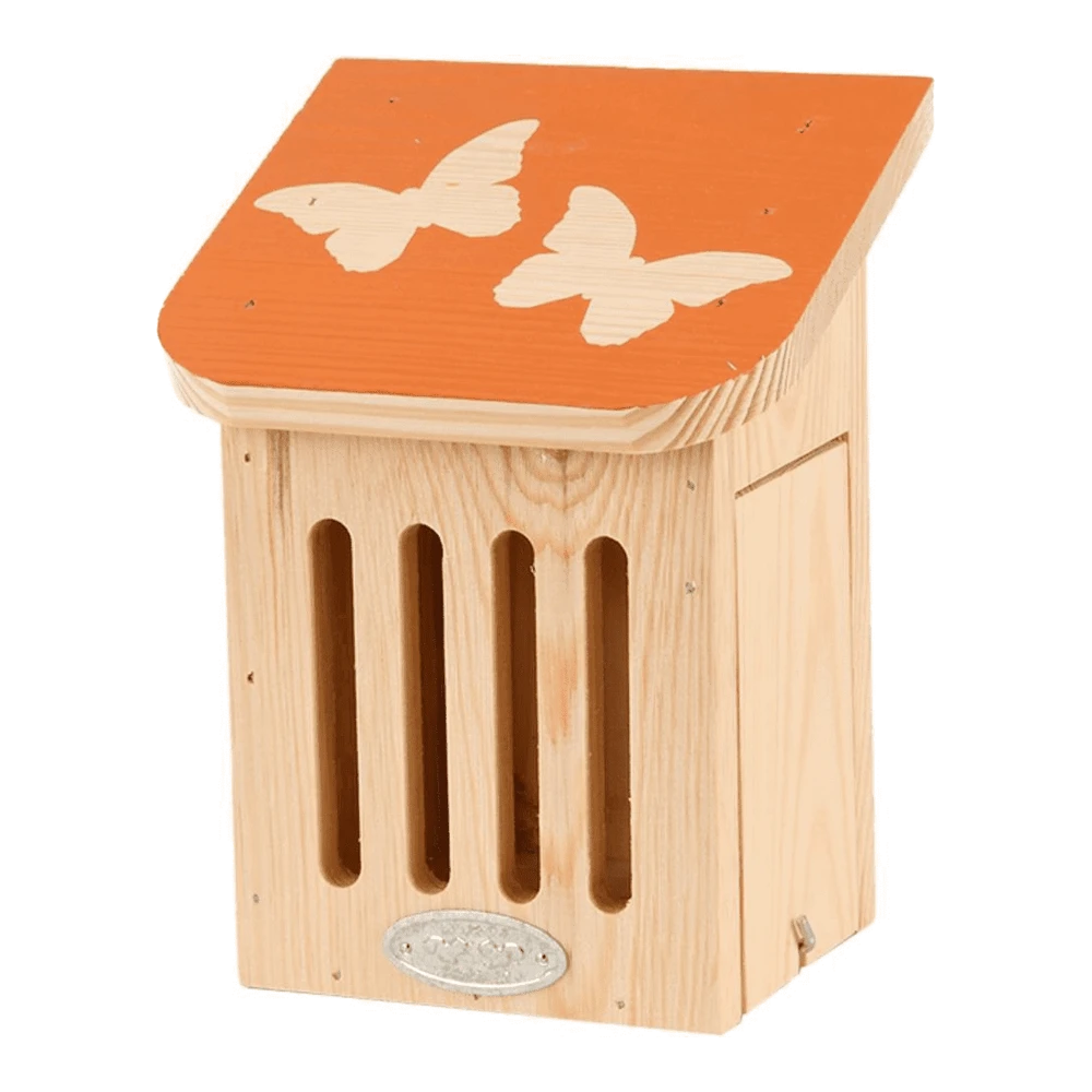 Diapositief Vlinderkast 3 Diapositief Vlinderkast