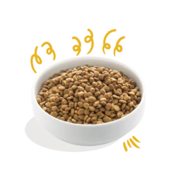 Edgard & Cooper - Verse Kalkoen & Kip - Volwassen - Hondenvoer - 2,5kg 7 Edgard & Cooper - Verse Kalkoen & Kip - Volwassen - Hondenvoer - 2,5kg -Huisdier Uitgebreid Winkel e c biokalkoen biokip volwassen hondenvoer 2 5kg 6 1