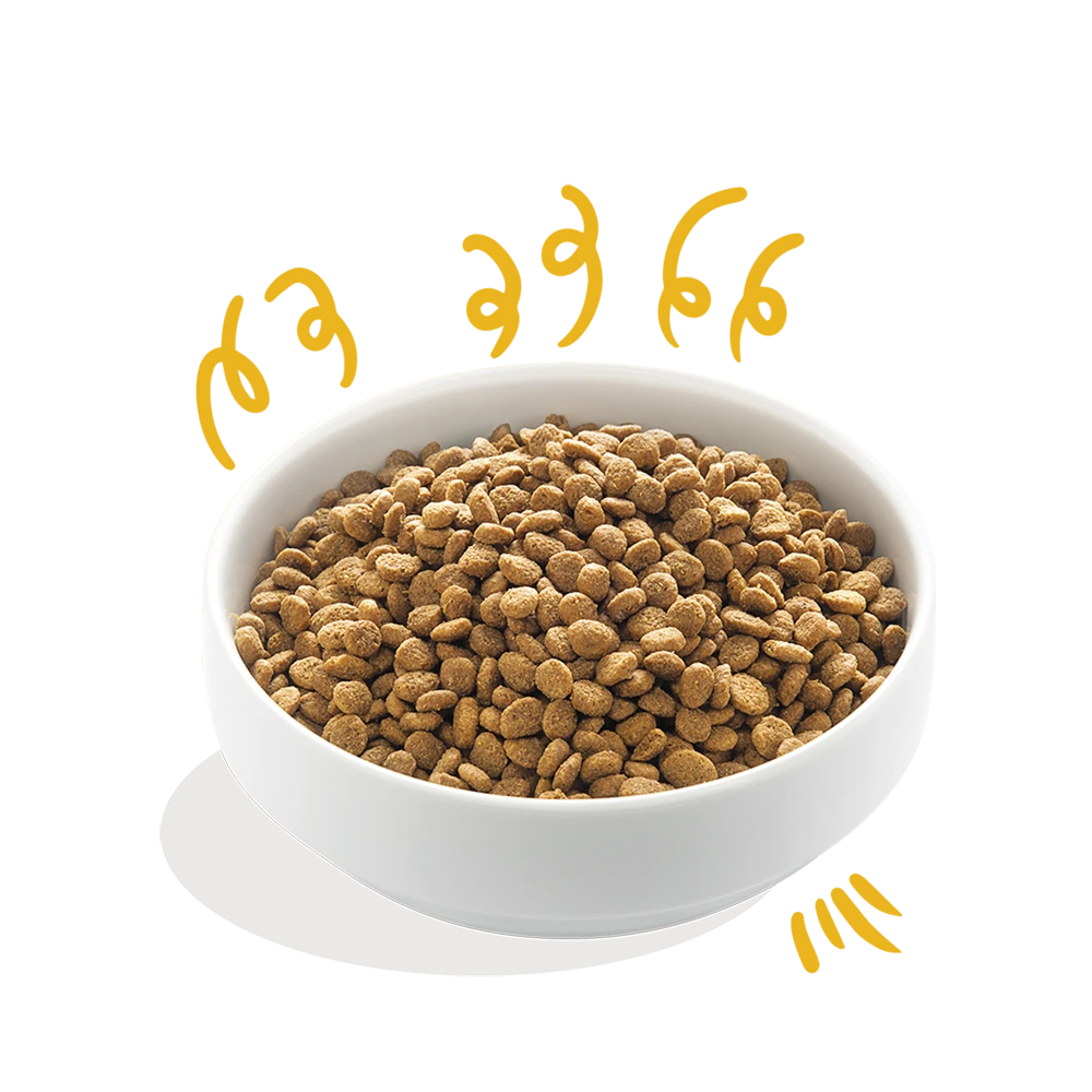 Edgard & Cooper - Verse Kalkoen & Kip - Volwassen - Hondenvoer - 2,5kg 5 Edgard & Cooper - Verse Kalkoen & Kip - Volwassen - Hondenvoer - 2,5kg - Afbeelding 3