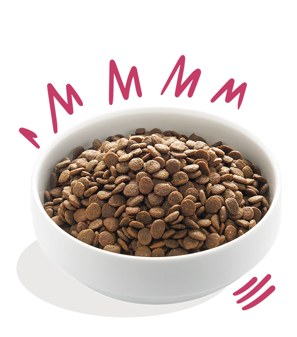 Edgard & Cooper - Hert & Scharreleend - Volwassen - Hondenvoer - 2,5kg - Afbeelding 3