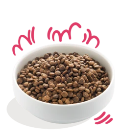 Edgard & Cooper - Verse Rund & Kip - Volwassen - Hondenvoer - 2,5kg 7 Edgard & Cooper - Verse Rund & Kip - Volwassen - Hondenvoer - 2,5kg -Huisdier Uitgebreid Winkel edgard cooper bio rund kip volwassen hondenvoer 2 5kg 6 2