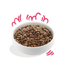 Edgard & Cooper - Verse Rund & Kip - Volwassen - Hondenvoer - 7kg -Huisdier Uitgebreid Winkel edgard cooper biorund biokip volwassen hondenvoer 7kg 6 1