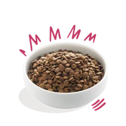 Edgard & Cooper - Hert & Scharreleend - Volwassen - Hondenvoer - 12kg 7 Edgard & Cooper - Hert & Scharreleend - Volwassen - Hondenvoer - 12kg -Huisdier Uitgebreid Winkel edgard cooper hert eend volwassen hondenvoer 12kg 6 1