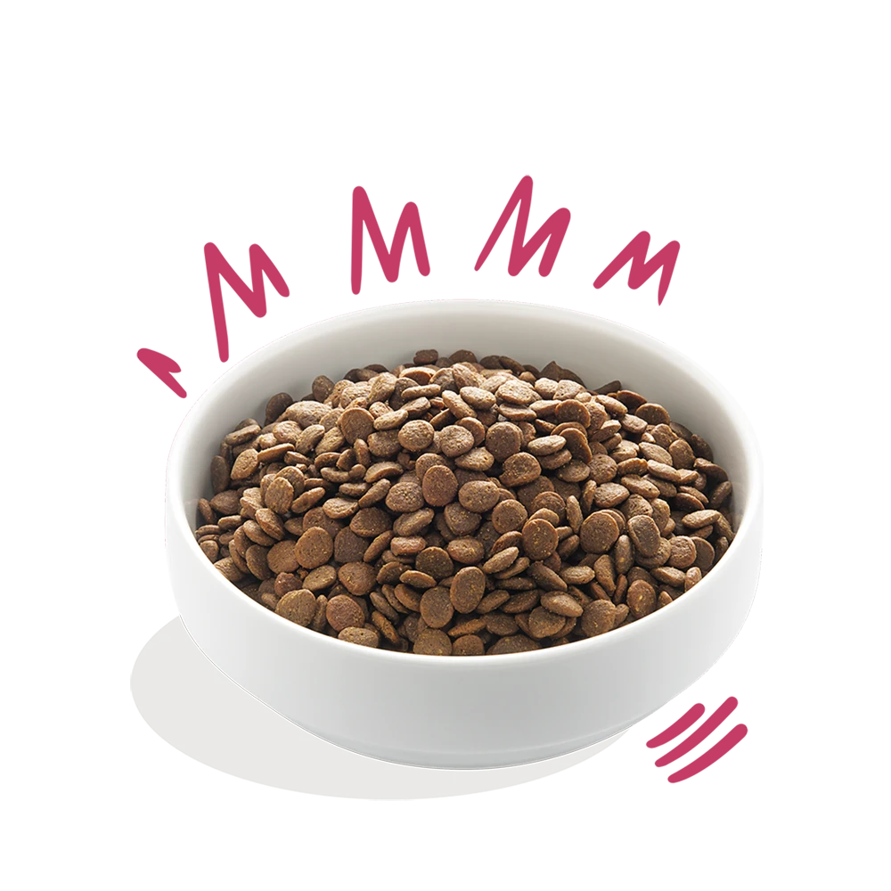 Edgard & Cooper - Hert & Scharreleend - Volwassen - Hondenvoer - 12kg 5 Edgard & Cooper - Hert & Scharreleend - Volwassen - Hondenvoer - 12kg - Afbeelding 3