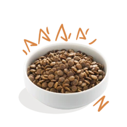 Edgard & Cooper - Verse Scharrelkip - Volwassen - Hondenvoer - 12kg 7 Edgard & Cooper - Verse Scharrelkip - Volwassen - Hondenvoer - 12kg -Huisdier Uitgebreid Winkel edgard cooper scharrelkip volwassen hondenvoer 12kg 6 1