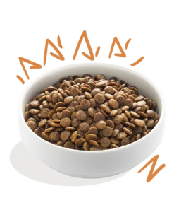 Edgard & Cooper - Verse Scharrelkip - Volwassen - Hondenvoer - 2,5kg -Huisdier Uitgebreid Winkel edgard cooper scharrelkip volwassen hondenvoer 2 5kg 6 2