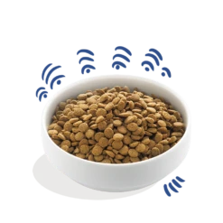 Edgard & Cooper - Verse Noorse Zalm - Volwassen - Hondenvoer - 12kg -Huisdier Uitgebreid Winkel edgard cooper zalm volwassen hondenvoer 12kg 6 1