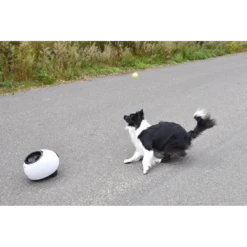 Flamingo Elton Interactive Tennisballen Schieter Incl. Tennisbal -Huisdier Uitgebreid Winkel elton interactive tennisballen schieter incl tennisbal 5