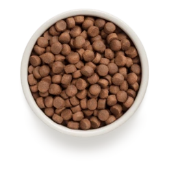 Grandorf Adult - Eend En Zoete Aardappel - 3kg - Hondenvoer -Huisdier Uitgebreid Winkel grandorf adult eend en zoete aardappel 3kg hondenvoer hondenvoer 2