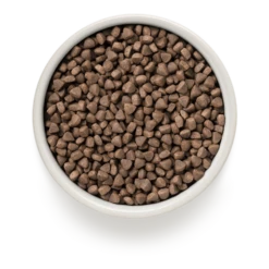 Grandorf Konijn & Bruine Rijst Gesteriliseerd - Kattenvoer - 2kg -Huisdier Uitgebreid Winkel grandorf konijn bruine rijst gesteriliseerd kattenvoer 2kg 2 1