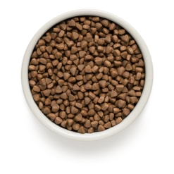 Grandorf Lam & Bruine Rijst Adult Indoor - Kattenvoer - 2kg -Huisdier Uitgebreid Winkel grandorf lam bruine rijst adult indoor kattenvoer 2kg 2 1