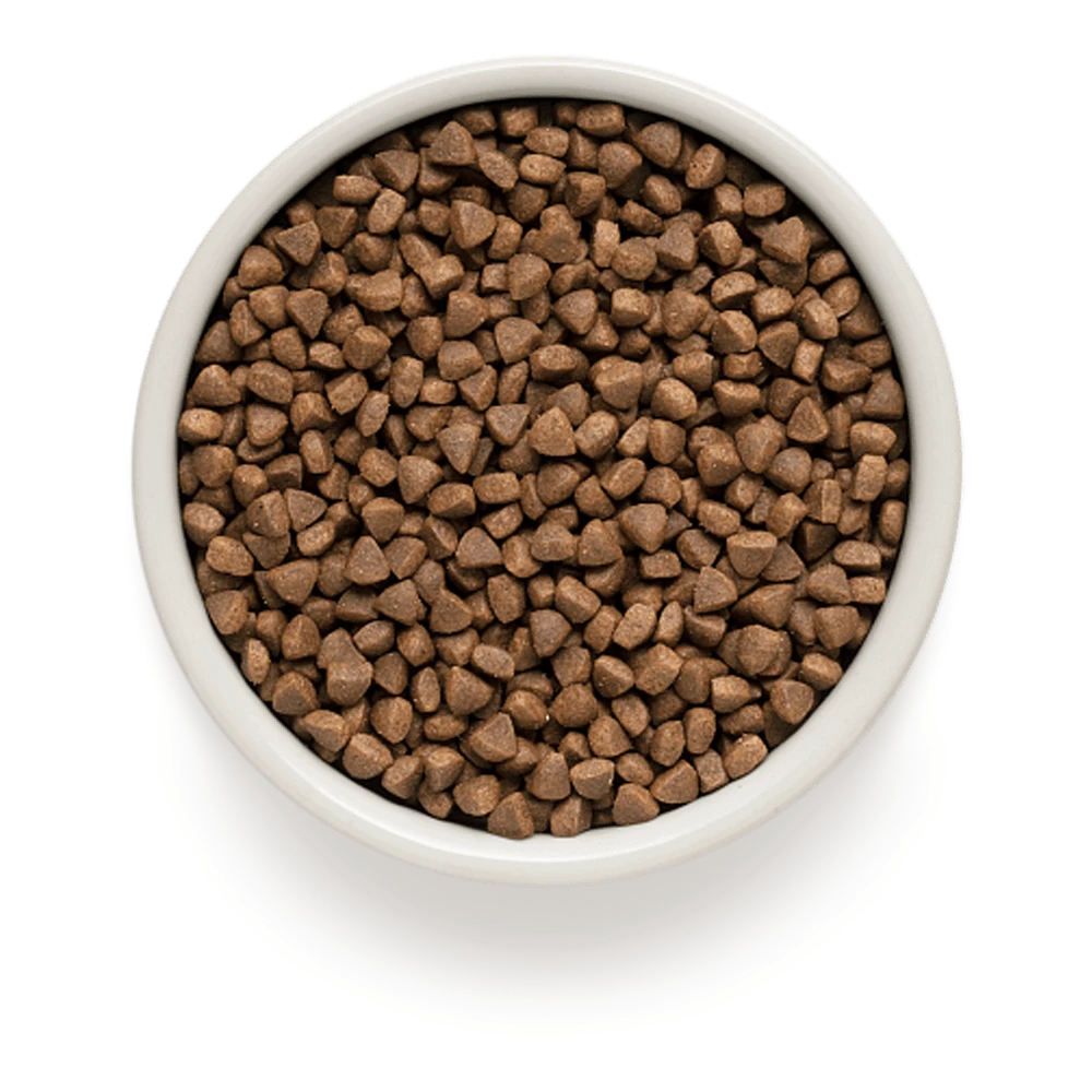 Grandorf Lam & Bruine Rijst Adult Indoor - Kattenvoer - 2kg - Afbeelding 2