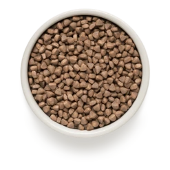 Grandorf Witvis & Bruine Rijst Adult Indoor - Kattenvoer - 2kg -Huisdier Uitgebreid Winkel grandorf witvis bruine rijst adult indoor kattenvoer 2kg 2 1