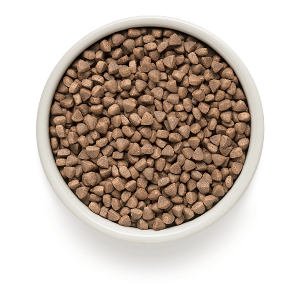 Grandorf Witvis & Bruine Rijst Adult Indoor - Kattenvoer - 2kg - Afbeelding 2