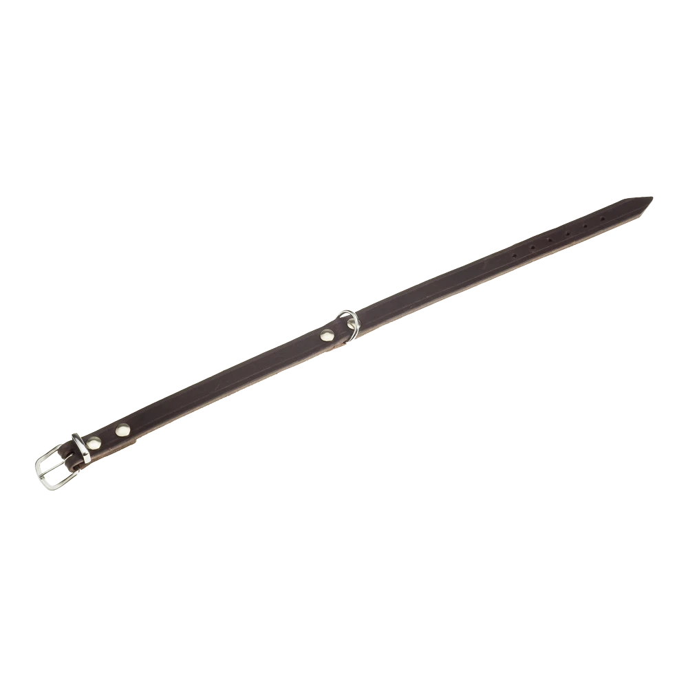 Flamingo Halsband Rondo Bruin - Leer - 57-70cm 25mm - Hondenhalsband 3 Flamingo Halsband Rondo Bruin - Leer - 57-70cm 25mm - Hondenhalsband