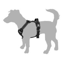 Flamingo Harnas Balou Zwart - M - 50-65cm X 25mm - Hondenharnas -Huisdier Uitgebreid Winkel harnas balou hondenharnas 3 6 11