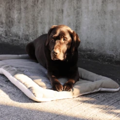 Hondendeken Dakota - XL - Donkerbruin - 105 X 70 Cm - Happy House -Huisdier Uitgebreid Winkel hondendeken dakota happy house 2 1