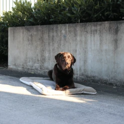 Hondendeken Dakota - M - Kaki - 73 X 50 Cm - Happy House -Huisdier Uitgebreid Winkel hondendeken dakota xl happy house 3 1 2