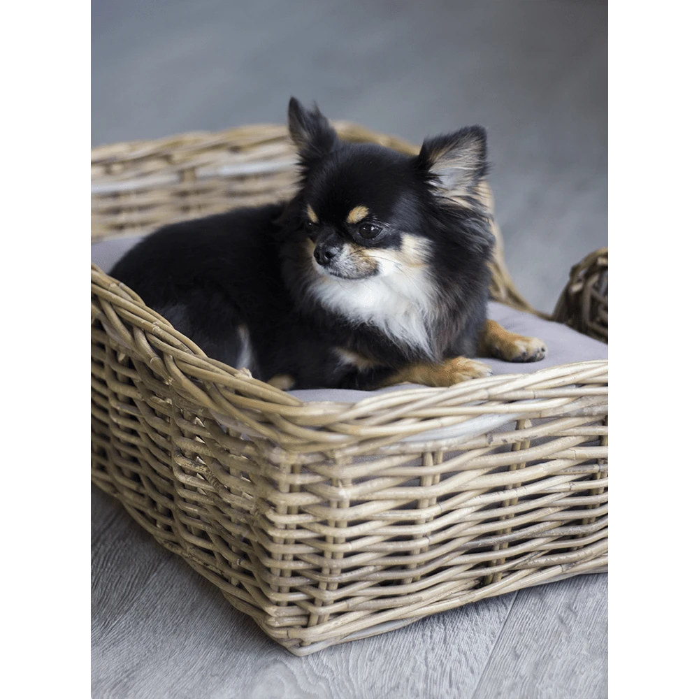 Klassieke Rieten Hondenmand - L - Rechthoekig - Happy House 5 Klassieke Rieten Hondenmand - L - Rechthoekig - Happy House - Afbeelding 3