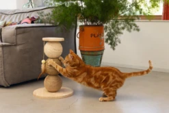 Krabbollen Elio - Krabpaal Kat - 34x34x47,5cm - Designed By Lotte -Huisdier Uitgebreid Winkel krabbollen elio krabpaal kat 34x34x47 5cm designed by lotte 6