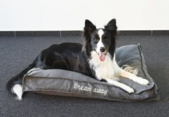 Flamingo Kussen Dream Away Rechthoekig Boord Met Rits Grijs - 100x70x12CM -Huisdier Uitgebreid Winkel kussen dream away rechthoekig boord met rits grijs 100x70x12cm 3 2