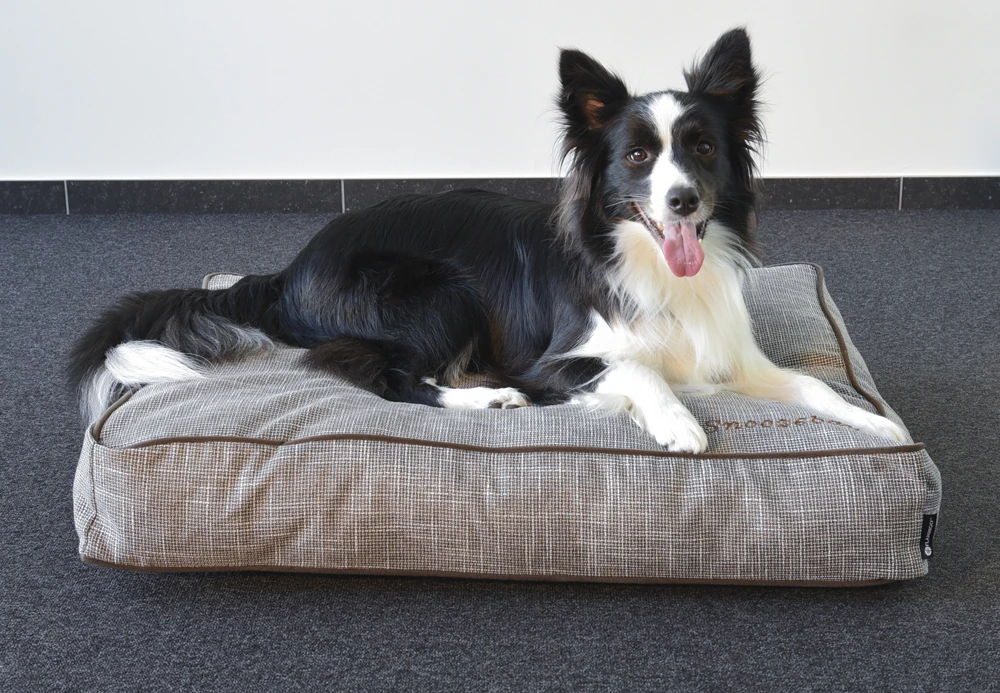 Flamingo Kussen Snoozebay Rechthoekig Boord Met Rits - Bruin - 100x70x16CM 7 Flamingo Kussen Snoozebay Rechthoekig Boord Met Rits - Bruin - 100x70x16CM - Afbeelding 5