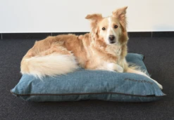 Flamingo Kussen Snoozebay Rechthoekig Met Rits - Blauw - 100x70x16CM -Huisdier Uitgebreid Winkel kussen snoozebay rechthoekig met rits blauw 4 4