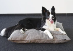 Flamingo Kussen Snoozebay Rechthoekig Met Rits - Bruin - 80x60x14CM -Huisdier Uitgebreid Winkel kussen snoozebay rechthoekig met rits bruin 5 4 1