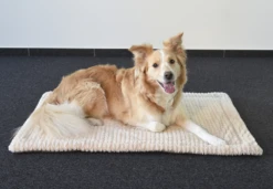 Flamingo Kussen Zupo Plat Rechthoekig - Beige - 40,5X25,5X2CM -Huisdier Uitgebreid Winkel kussen zupo plat rechthoekig beige 4 3 5